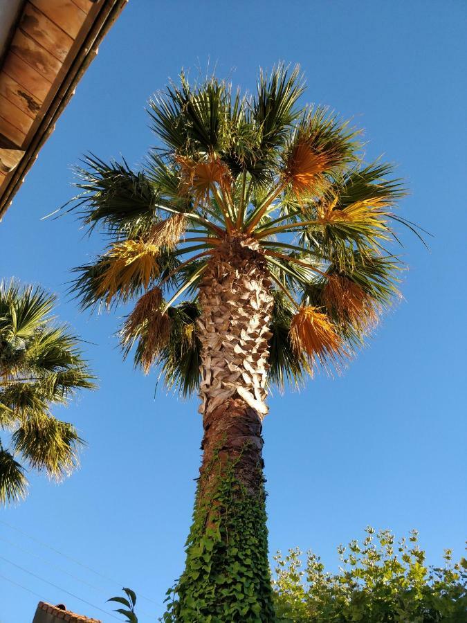 מרסיי La Palmeraie מראה חיצוני תמונה